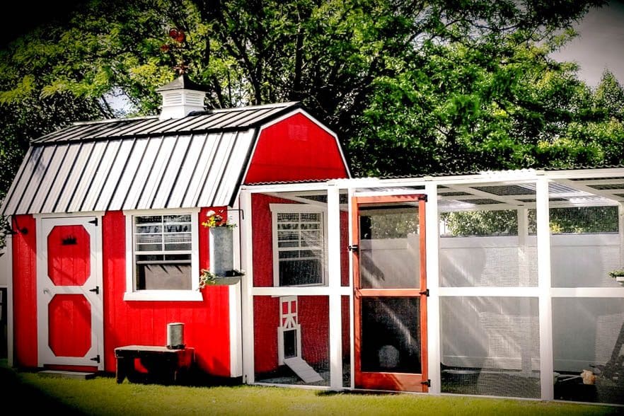 Red shed with black metal roof cupola