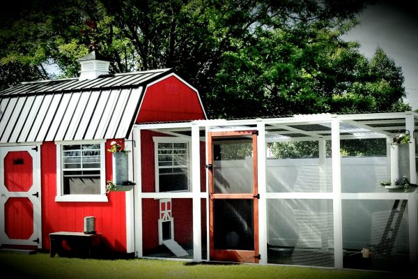 cupola for chicken coops online