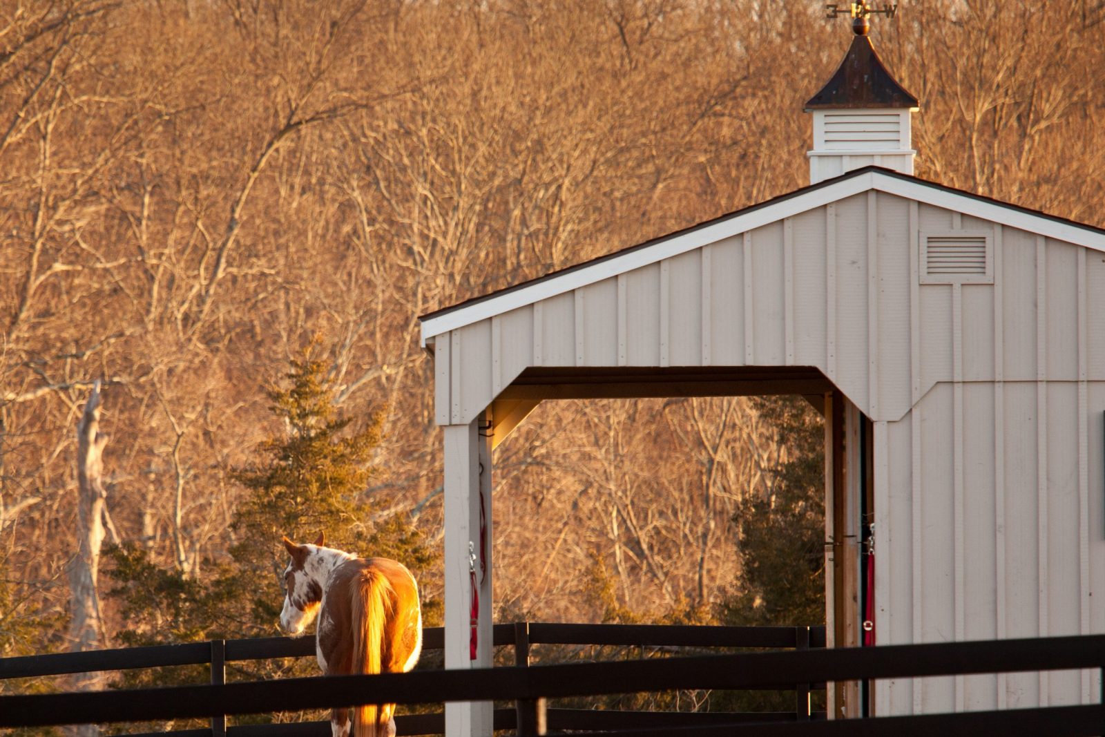 Barn Cupolas Weathervanes Buy an Amish Built Cupola